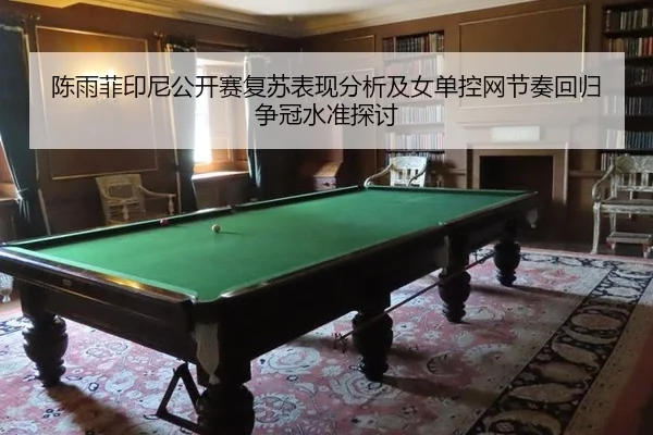 陈雨菲印尼公开赛复苏表现分析及女单控网节奏回归争冠水准探讨